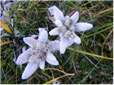 Planina Blato - Vernar